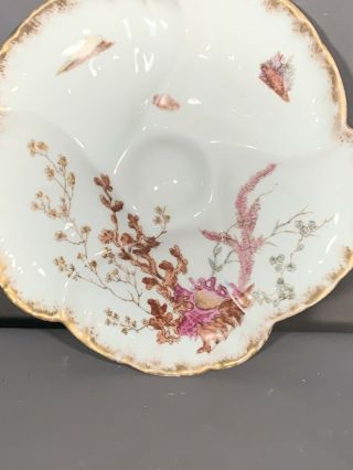 Antique FRENCH LIMOGES Old SEASHELL Painting PORCELAIN Nautical OYSTER PLATE 2