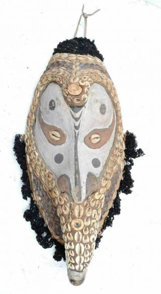Papua Guinea Antique Sepik River Tribal Mask Vintage Mwai Spirt Art Shells
