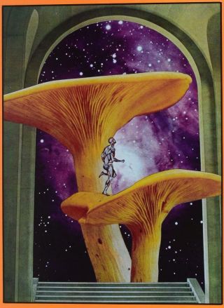 Vtg 1970 ' s Grateful Dead BG 216 - 2 Mushroom Man Poster Psychedelic David Singer 2