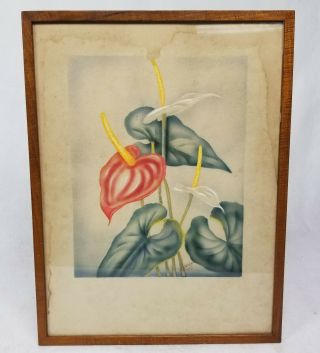 Antique Well Framed Vintage Ted Mundorff Signed Hawaii Airbrush Paintings