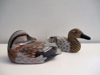 Vintage Andy Anderson Signed Hand Carved And Painted Duck Decoy - Glass Eyes