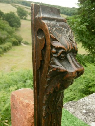 19thc Gothic Oak Wood Carved Lion Head Corbel With Claw Foot