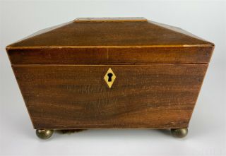 Antique 19th Century English Mahogany Wood Sheridan Style Tea Caddy Box Nr Sms
