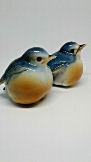 Vintage Ceramic Blue Bird Salt And Pepper Shakers