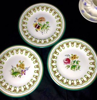 3 Brown Westhead Moore 1864 Hand Painted Floral Botanical Dessert Plates Bin
