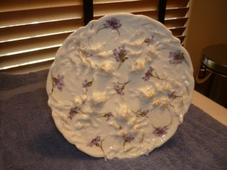 Theodore Haviland,  Co Circa 1893 Oyster Plate Dish Server 2 Of 2