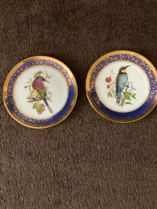 Limoges Cobalt Blue And Gold Bird Plates - Rare Antique Plates