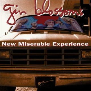 Gin Blossoms Miserable Experience Vinyl