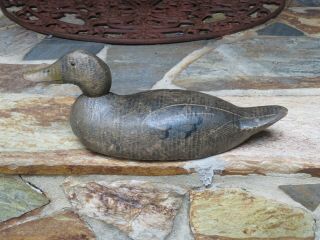 Antique Jefferson,  Mo Scratch & Comb Painted Decoy By Benz Wood Products