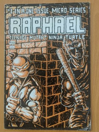 Teenage Mutant Ninja Turtle 1 (raphael Mini - Series) - 1st Casey Jones/first Prin