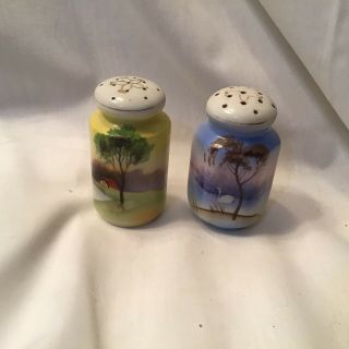 Vintage Hand Painted Salt And Pepper Shakers Japan Has Corks