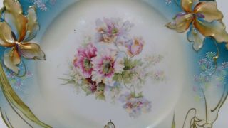 S&T RS Germany Porcelain Cabinet Plate Floral Design 9 1/8 