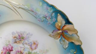 S&T RS Germany Porcelain Cabinet Plate Floral Design 9 1/8 