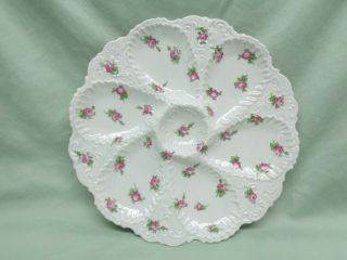 Antique O&e G Royal From Austria Six Well Rose Pattern Oyster Plate In