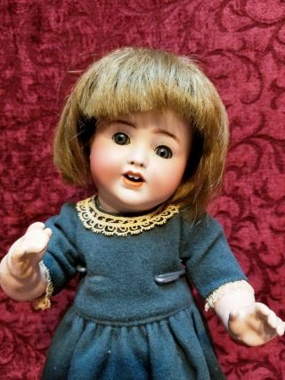 Antique German Bisque Head Toddler Doll Alt Beck Gottschalck Abg 1361 Sweetness