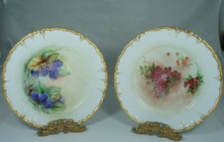 Antique Plate Pair,  Gold Rims,  Currant/blackberry Hand Painted Berries Signed