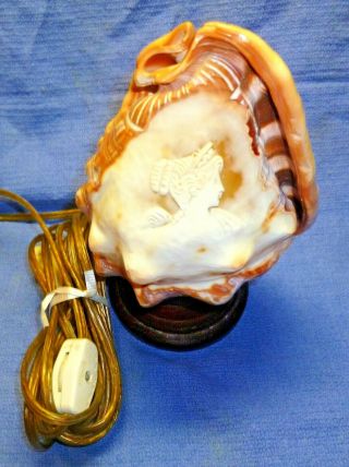 Antique Vtg Italian Carved Lady Conch Sea Shell Cameo Lamp 7 " Night Stand Light