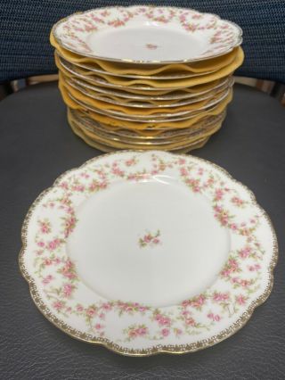 12pc,  M Z Austria Bridal Rose Porcelain Salad Plates 8 "