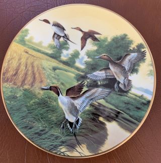 Ducks Unlim Pintails In Indian Summer Lynn Kaatz.  Wj George 8 1/4 Duck Plate