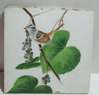 Brown Westhead Moore Co Hand Painted Tile Bird Berries Stoke On Trent