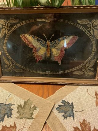 Vintage Tray Foil Art Butterfly,  Wood Frame And Brass Handles