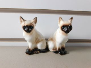 Vintage Siamese Cat Kitten Salt And Pepper Shakers