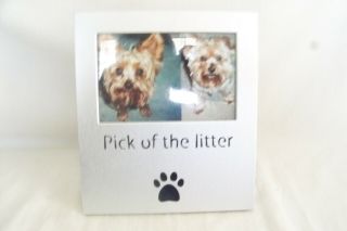 Burnes Of Boston Picture Frame For Dogs Pick Of The Litter