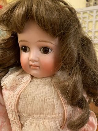 Antique German Bisque Kestner Closed Mouth Turned Shoulder Head Brown Eyed Doll.