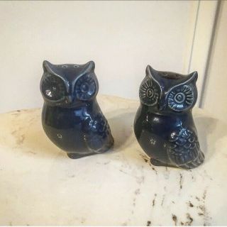 Set Of 2 Sitting Owls Salt And Pepper Shakers/navy Blue
