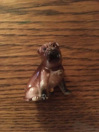 Antique Bisque ? Porcelain Dog Shar Pei With Penis One Of A Kind Look It Up