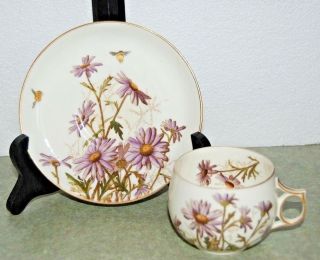 Antique 19th Century Hand Painted Purple Daisies Porcelain Cup & Saucer Set Bee