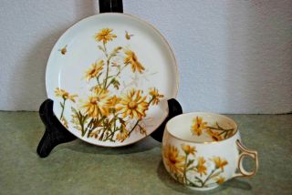 Antique 19th Century Hand Painted Yellow Daisies Porcelain Cup & Saucer Set Bee