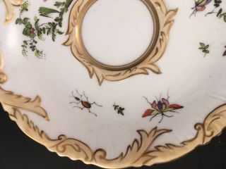Antique 1830s English Porcelain Saucer Rococo Exotic Bird Of Paradise Insects 3