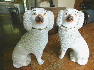 2 Antique Vintage Staffordshire Ware Poodle Dog Pair Figurines Confetti - England