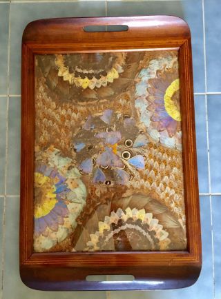Vintage Flowers & Wood Inlay Serving Tray 20”x13x2”