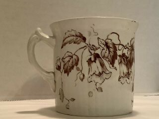 Antique F.  Winkle & Co.  Ironstone Brown/white Lily Pattern Mug 1890’s C.  England