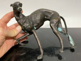 Vintage Bronze Standing Greyhound Dog Racing Art Statue Sculpture