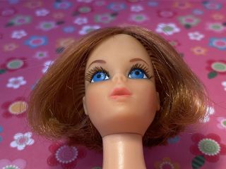 Vintage Barbie 1971 RARE Sears Exclusive HAIR HAPPENIN Doll TITIAN TNT 3