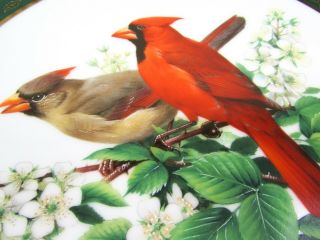 Cardinals The Songbirds of Roger Tory Peterson Danbury Vintage Plate 3