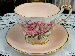 Paragon Pink Blossoms Floral Blush Tea Cup And Saucer