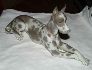 Vintage Large Lladro Great Dane Dog Figurine 12 " Long,  4 " Tall