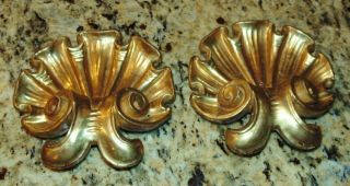 Pair 19th C French / Italian Gold Gilt Wood Carved Shell Motif Wall Decorations