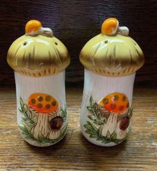 Vintage Merry Mushroom Salt And Pepper Shakers Sears Roebuck Made In Japan 1978