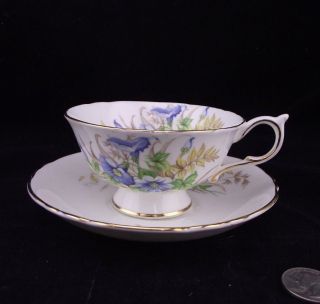 Paragon Double Warrant Cabinet Tea Cup And Saucer Floral Pattern