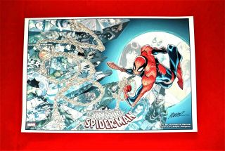 The Spider - Man Print Signed By Artist Humberto Ramos (700)