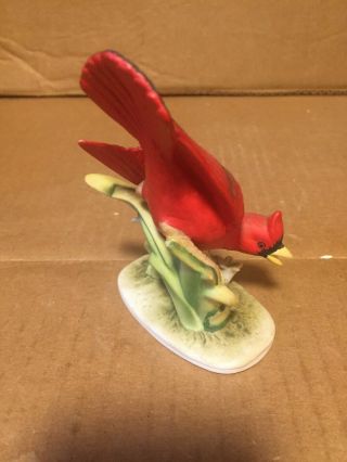 Vtg.  Hand Painted Lefton China Red Cardinal Figurine Head Down Numbered Kw464