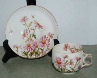 Antique 19th Century Hand Painted Pink Daisies Porcelain Cup & Saucer Set Bee
