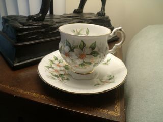 Vintage Elizabethan Dogwood Flowers Fine Bone China Tea Cup And Saucer England