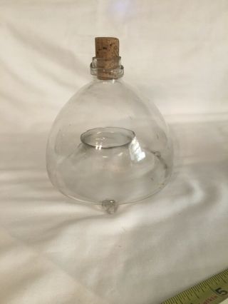 Rare Vintage Antique Glass Art Decorative Blown Etched Clear Fly Trap Catcher