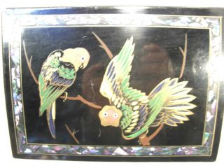 Vintage Black Lacquer Music Jewelry Box Made Japan Hp Parrots Anniversary Song